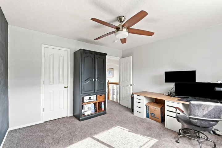Versatile bedroom or office space featuring neutral carpeting, ceiling fan with integrated lighting, dual closets with white panel doors, and built-in storage cabinetry with open shelving and drawer organization