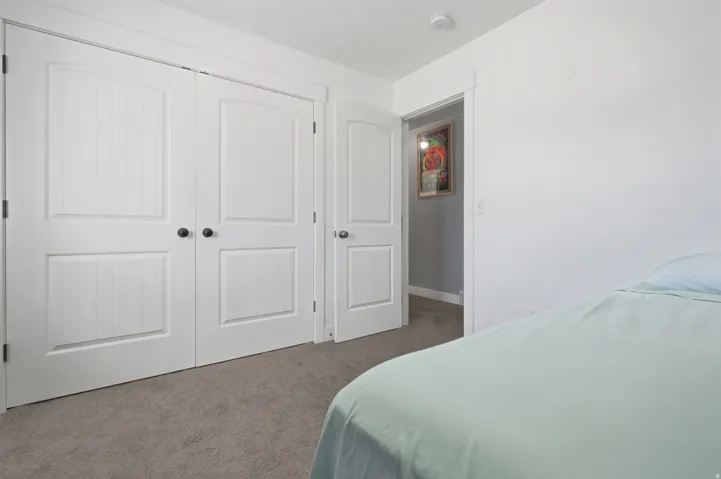 Textured panel doors with dark hardware, white trim, and light gray carpeting