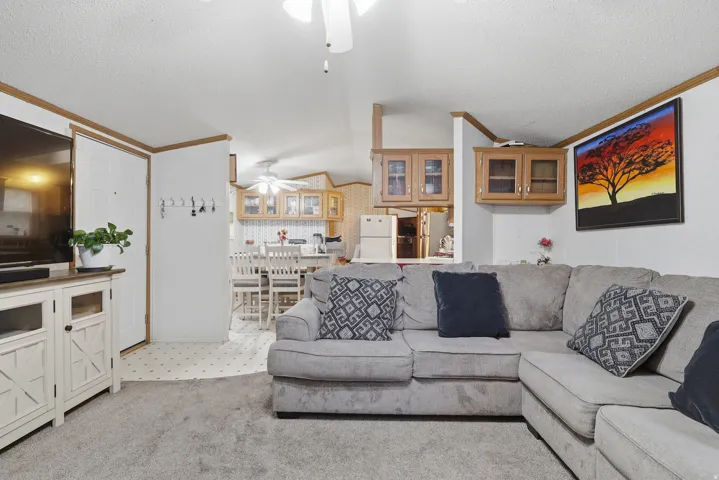 Carpeted living area with a ceiling fan, wall-mounted cabinetry, and visible kitchen cabinetry