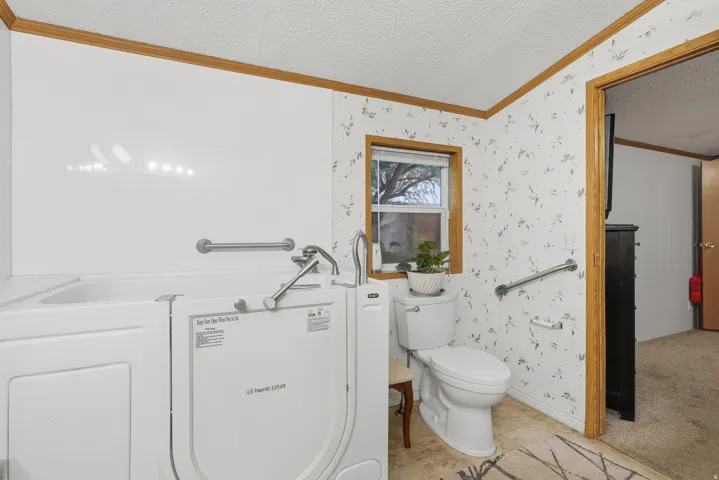 White walk-in tub with grab bars, toilet, and a window with wood-finish trim