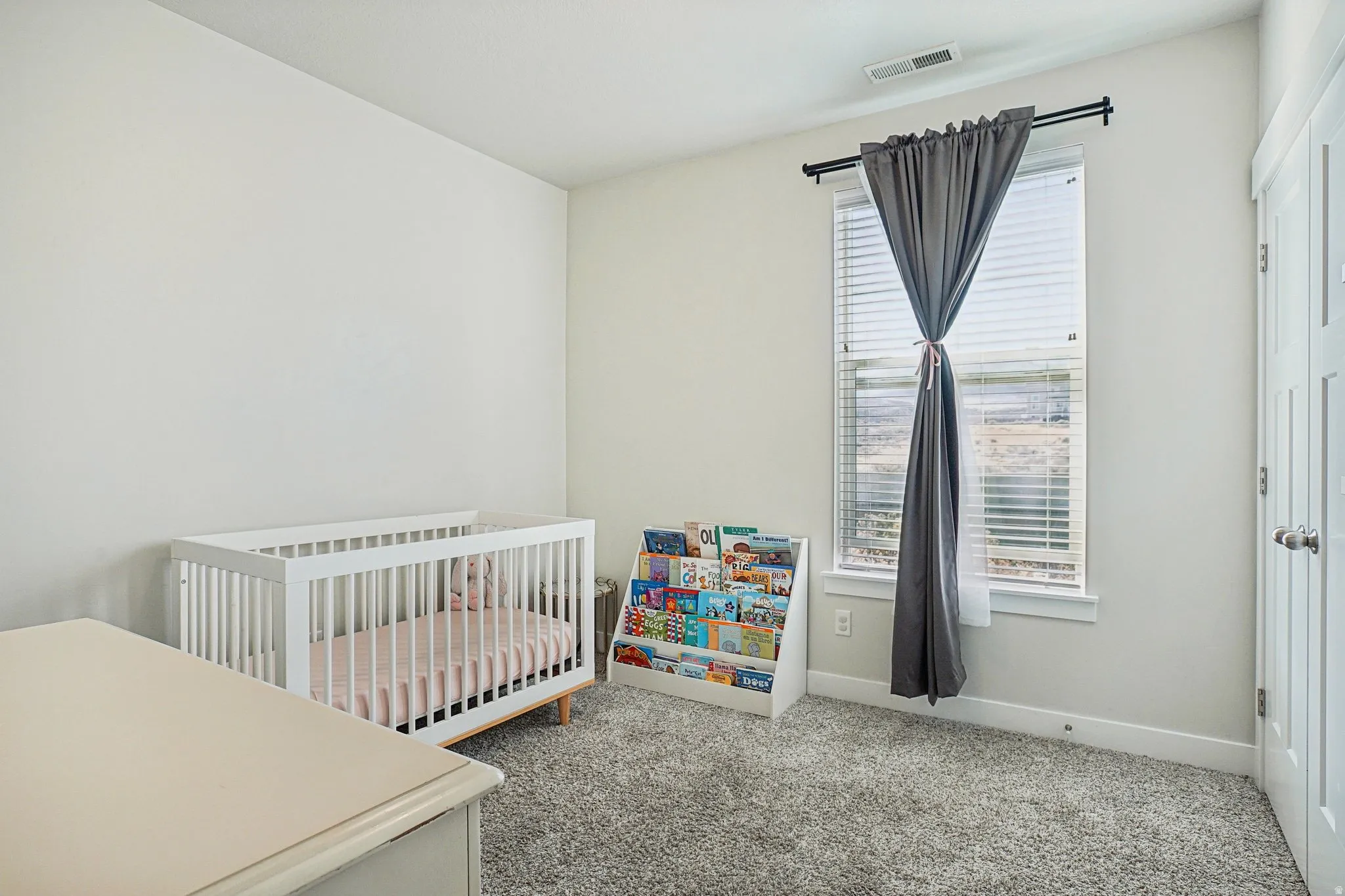 Carpeted room featuring a double-pane window with blinds and a flat-panel door
