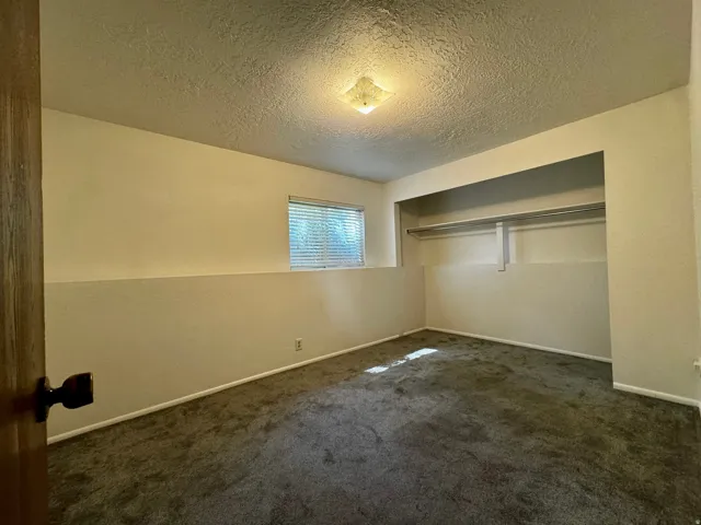 Carpeted flooring, recessed closet with shelving, window with blinds, surface-mounted ceiling light fixture, neutral wall finishes