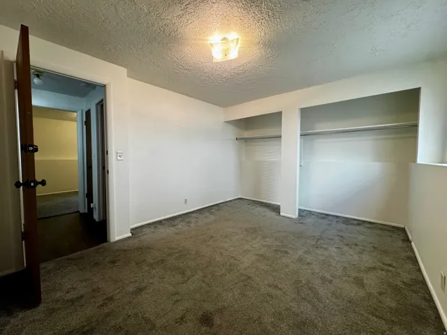 Wall-to-wall carpeting and built-in closet shelving