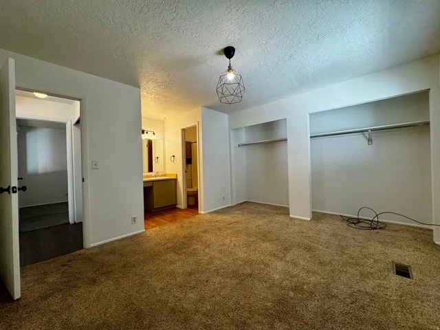 Built-in open shelving with clothing rods, carpeted flooring, and a contemporary ceiling fixture