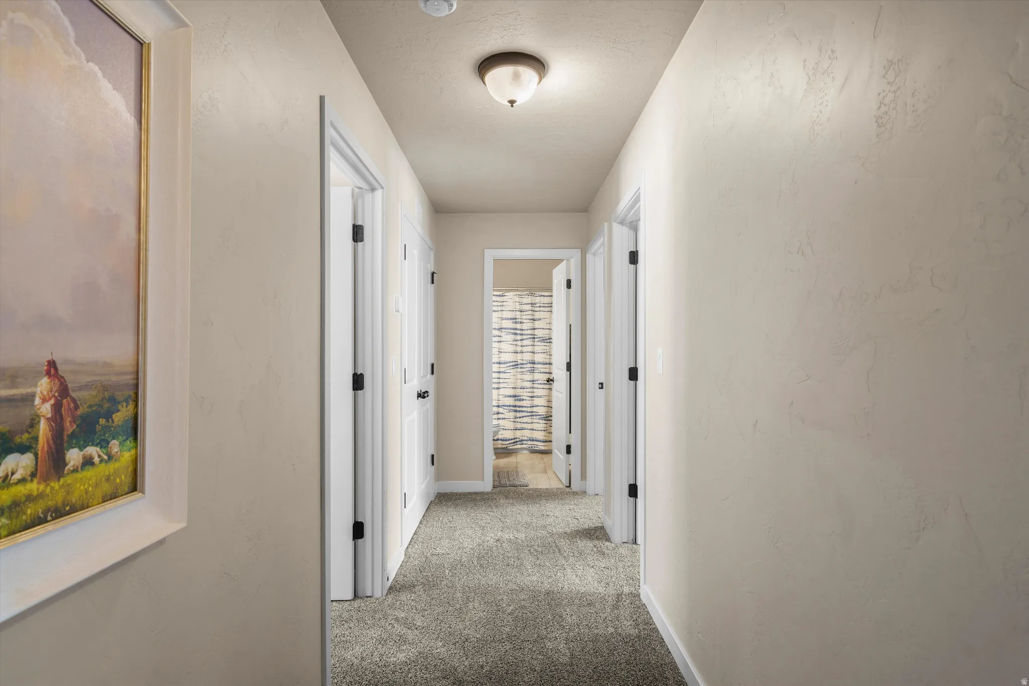 Hallway with carpet flooring, light-colored walls, multiple doorways, and an overhead light fixture
