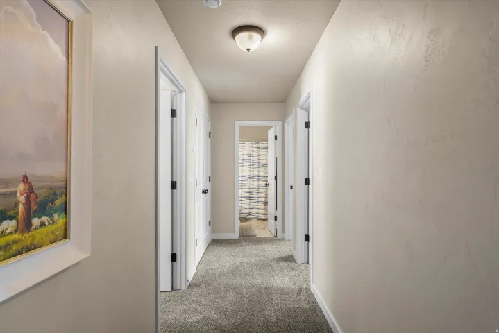 Hallway with carpet flooring, light-colored walls, multiple doorways, and an overhead light fixture