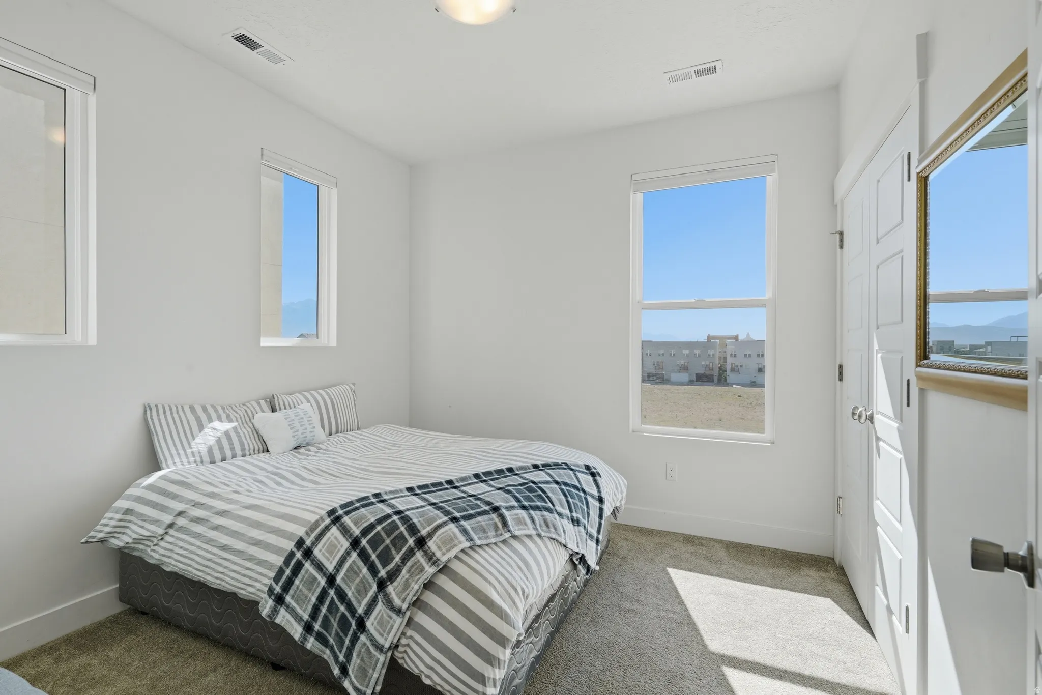 Carpeted room with white walls, two vertical windows, a flush-mount ceiling light, and a paneled door with dark hardware