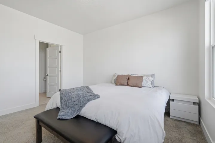 White walls, carpet flooring, and a white interior door with paneling