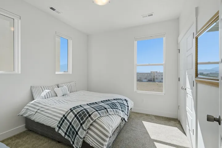 Carpeted room with white walls, two vertical windows, a flush-mount ceiling light, and a paneled door with dark hardware