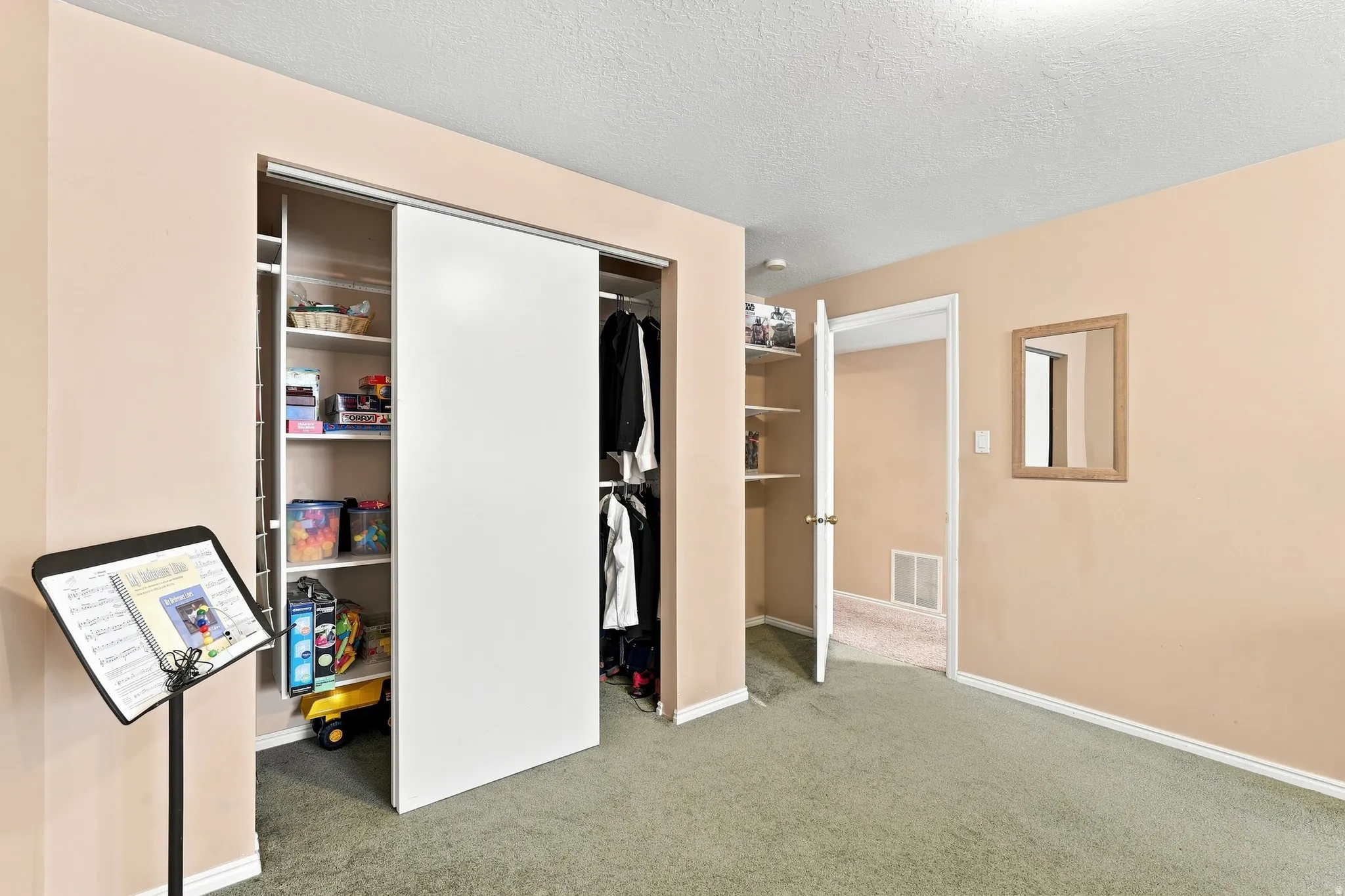 Built-in closet with sliding doors, additional shelving, and carpeted flooring