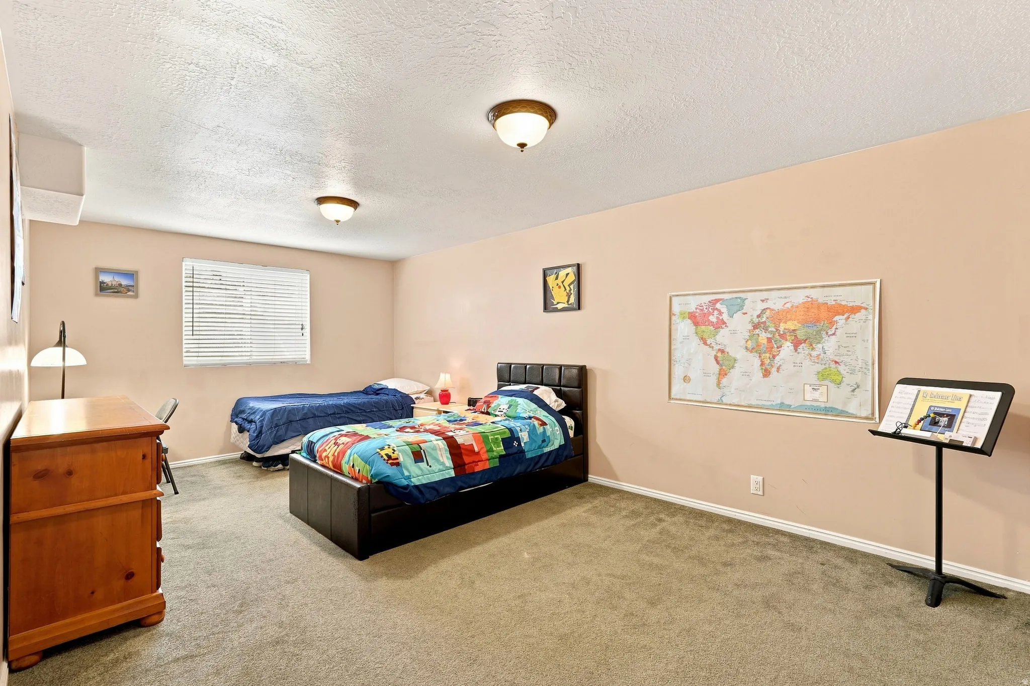 Carpeted flooring, window with blinds, and two ceiling-mounted light fixtures