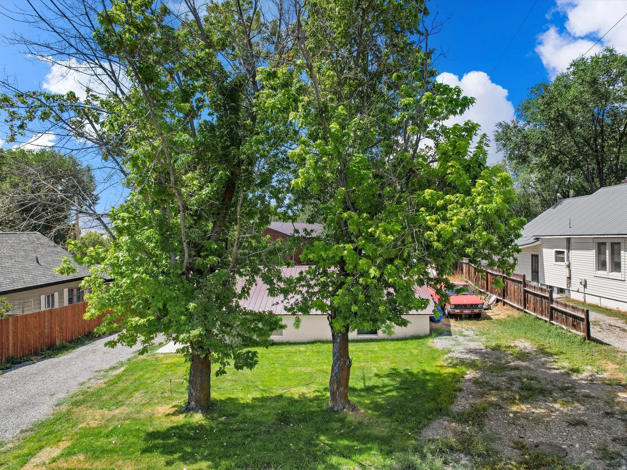 Expansive green lawn with mature trees and a gravel driveway