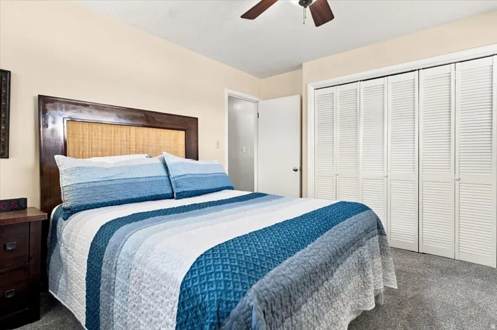 Plush carpet flooring, ceiling fan, and louvered bifold closet doors