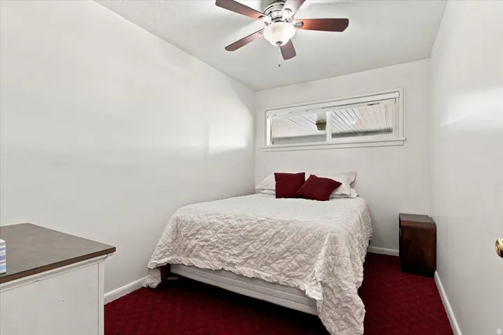 White walls with a single window, a ceiling fan with light, and red carpeting