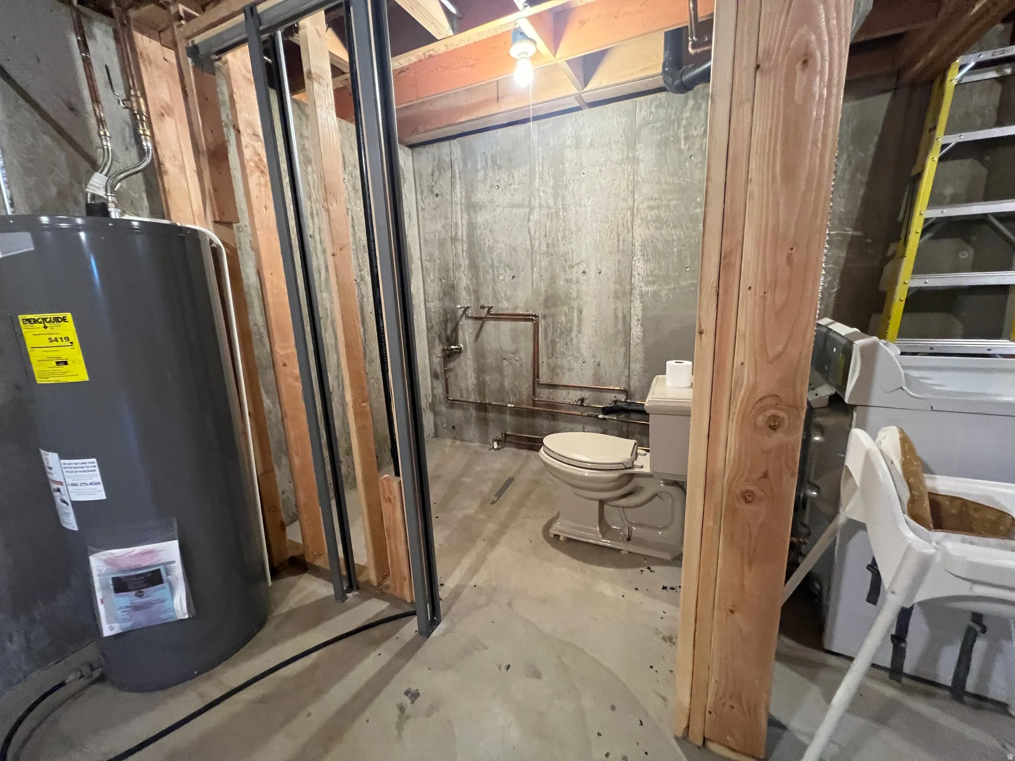 Toilet for the brave (or uninhibited)