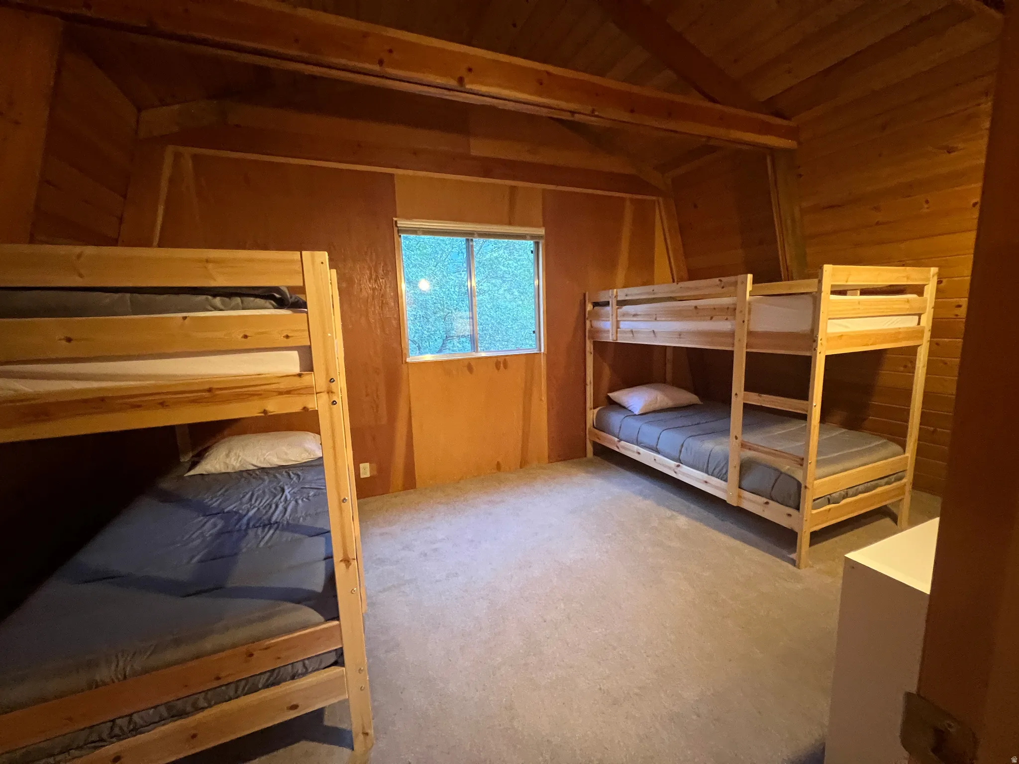 Bunk room upstairs. The kids talking quietly, planning tomorrow's adventures.