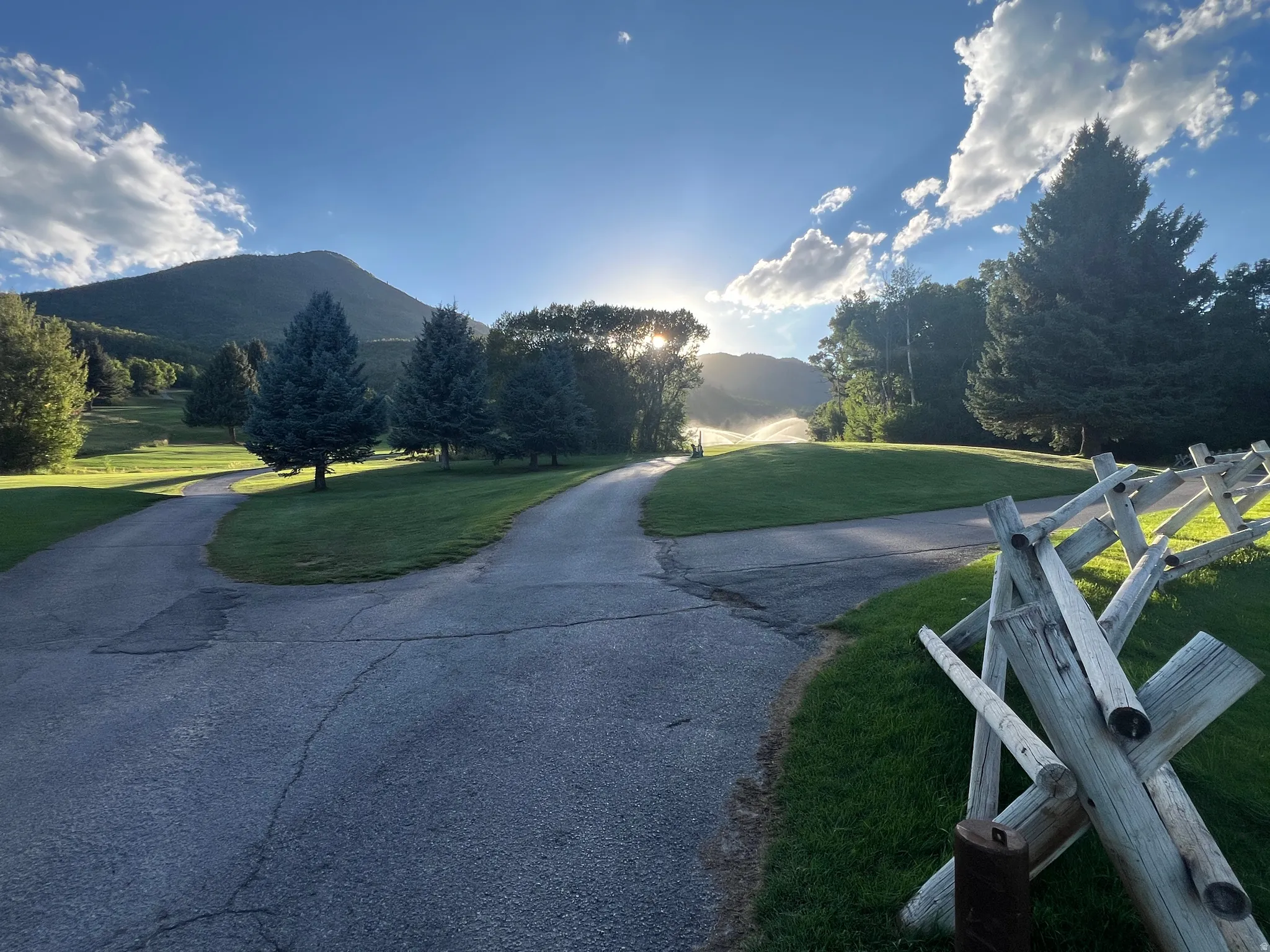 Eevergreen trees, and a mountain backdrop