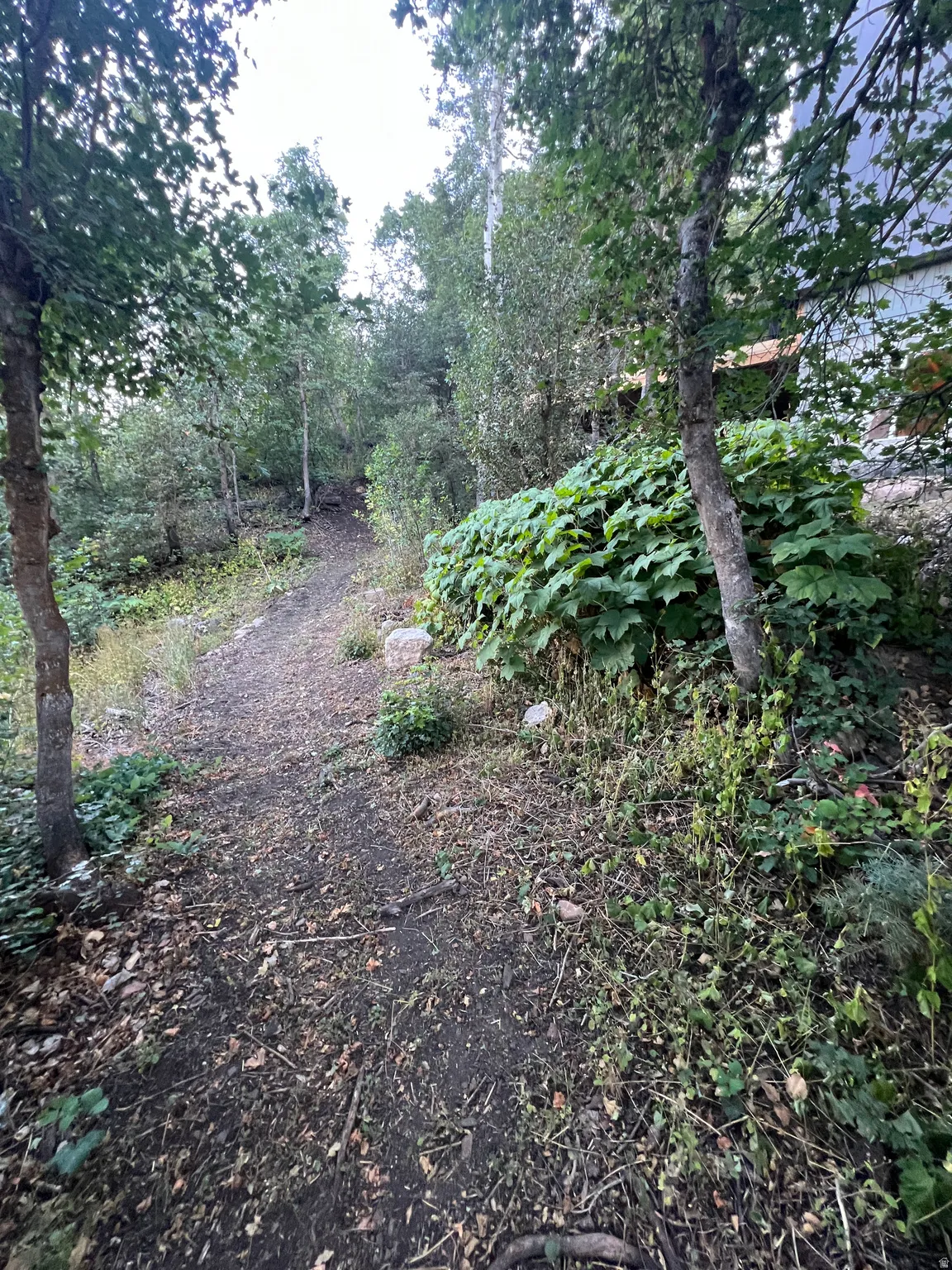 Another trail view
