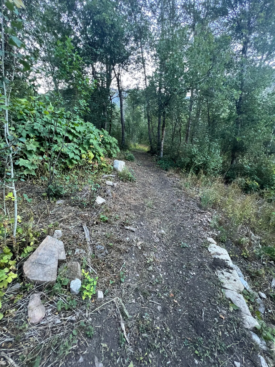 trails!