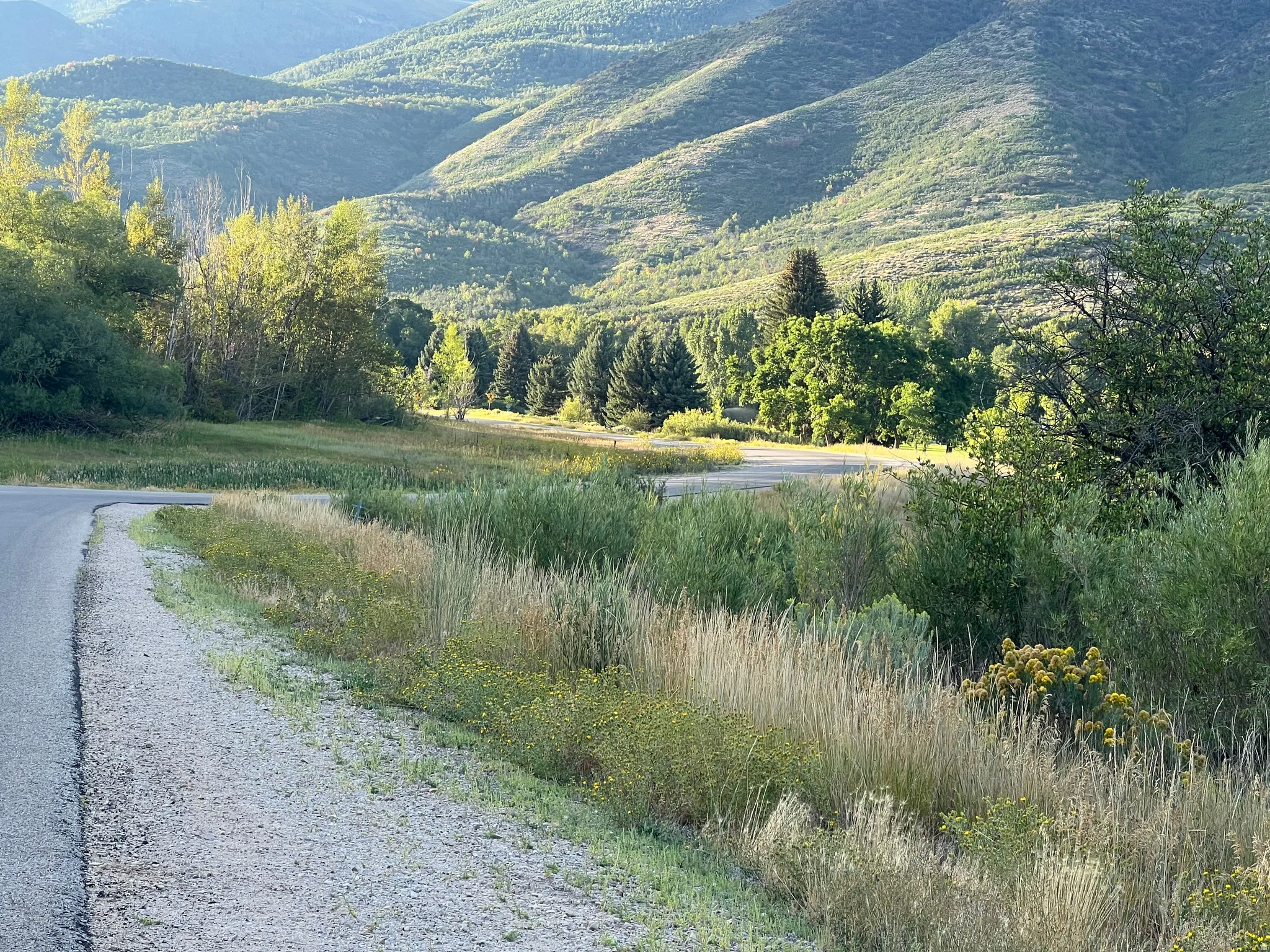Snake Creek Canyon road