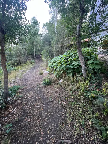 Another trail view