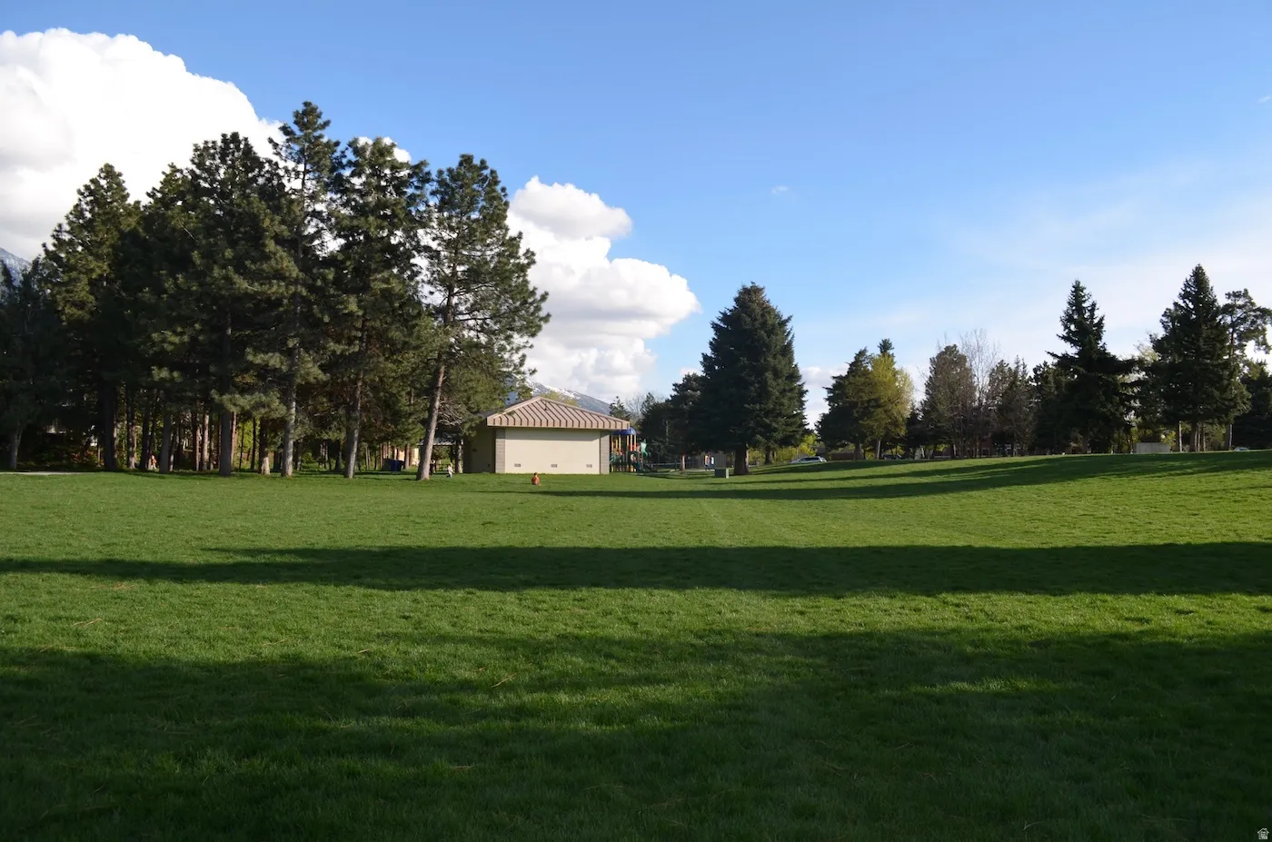 Expansive green space with mature evergreen trees and a building featuring a striped roof