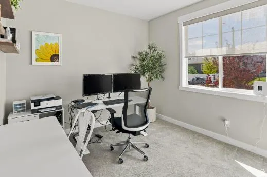 Neutral wall paint, light-toned carpeting, and a large window with roller shades