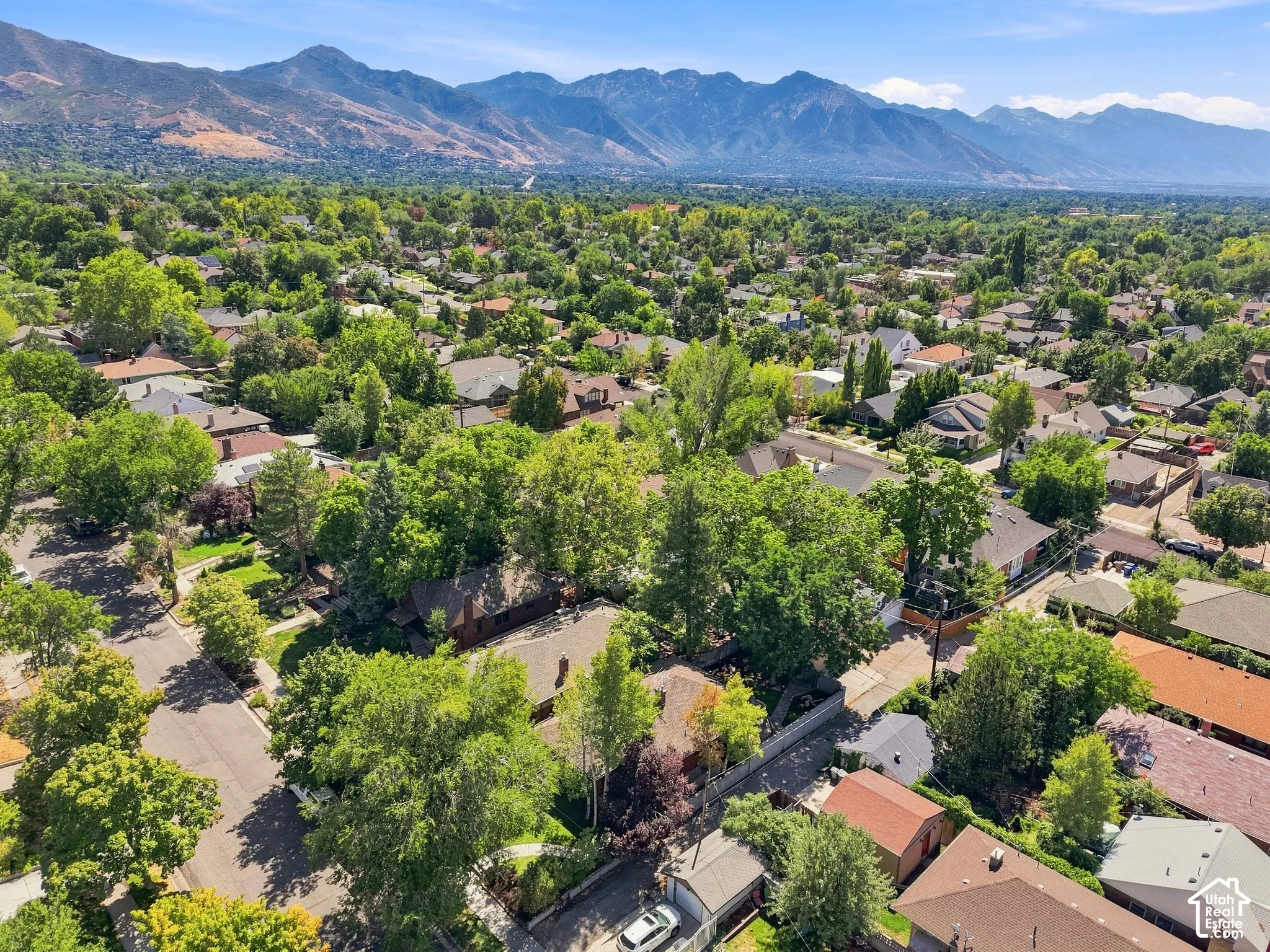 Aerial view showcasing a tree-lined residential neighborhood with mature landscaping, situated against a dramatic mountain backdrop
