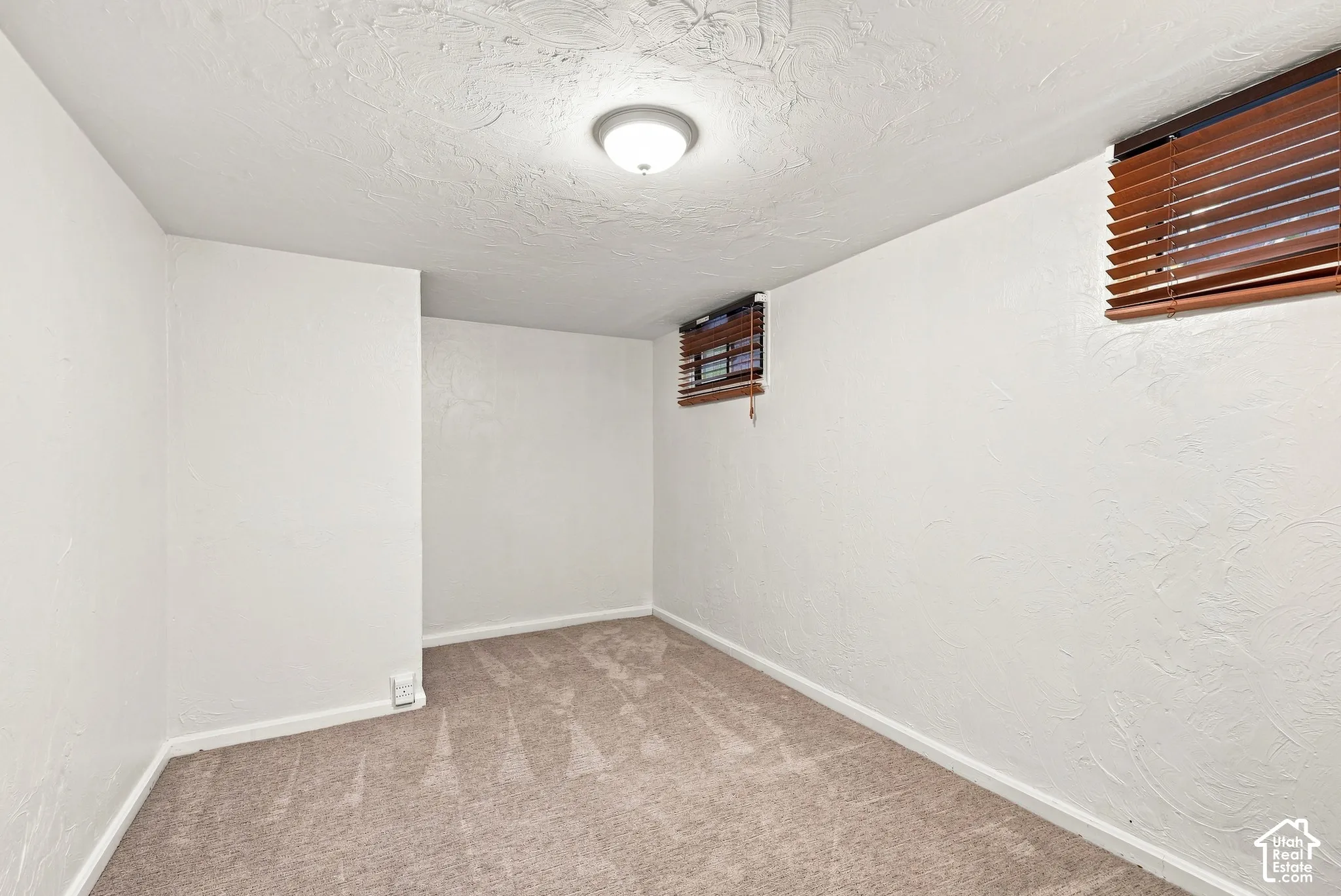Neutral-toned carpeting, white textured walls, and two windows with wood-finish blinds