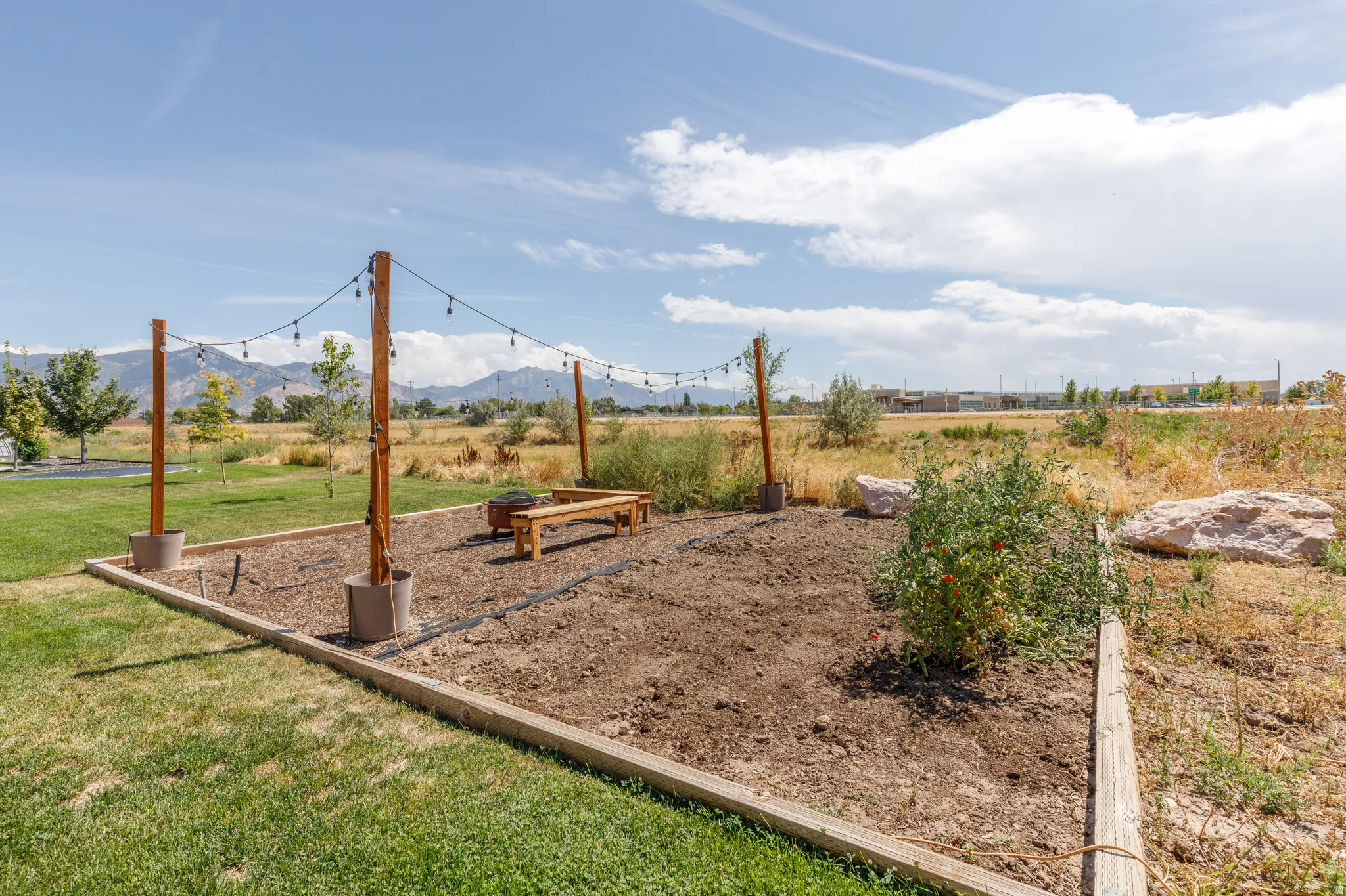 Defined garden area with wood borders, string lighting, and a fire pit