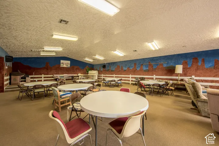 Carpeted flooring, vaulted ceiling with fluorescent lighting, and a painted mural wall treatment