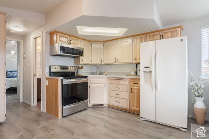 Kitchen featuring light-finish cabinetry, wood-finish flooring, recessed lighting, and stainless steel appliances