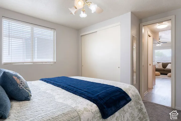 Room featuring a ceiling-mounted light fixture, dual-panel sliding closet doors, a horizontal window with blinds, and wall-mounted mirror