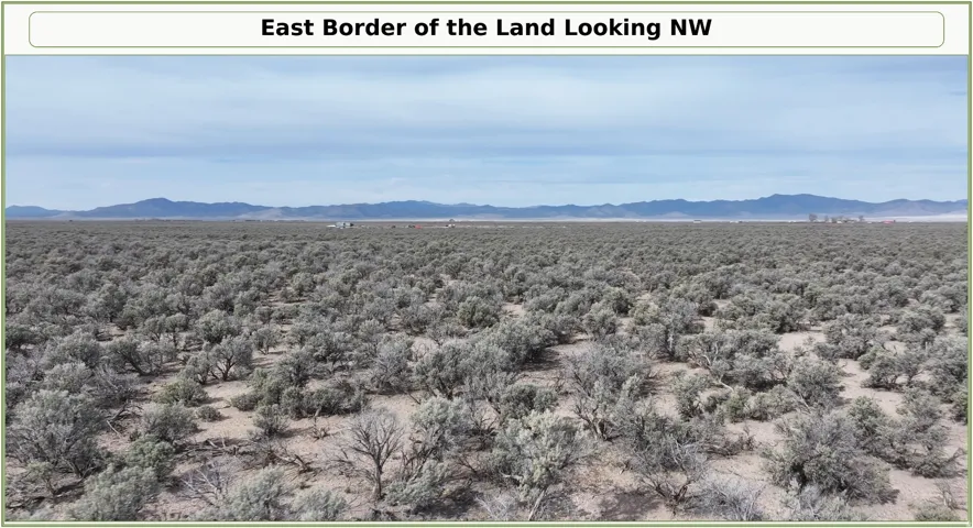 Expansive natural landscape with sparse vegetation and distant mountain ranges