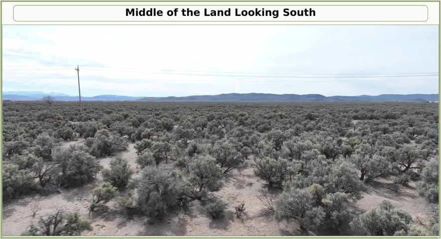 Expansive natural landscape with native shrubbery and distant mountains