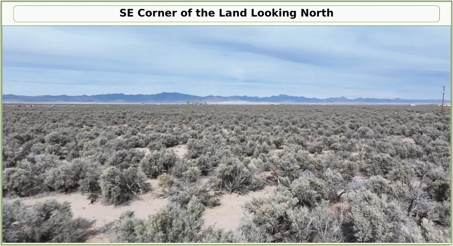 Expansive desert landscape with natural scrub vegetation