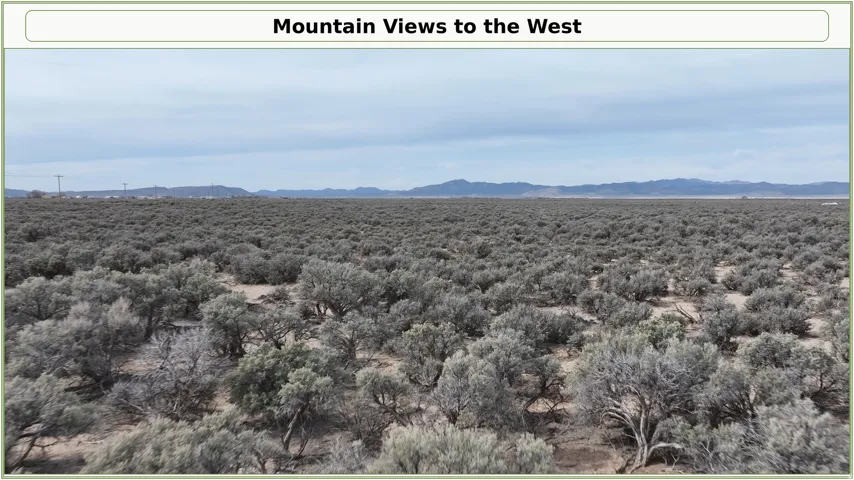 Expansive landscape featuring low-lying desert vegetation and distant mountains under a broad sky