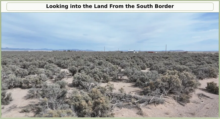 Expansive land featuring natural vegetation and distant structures