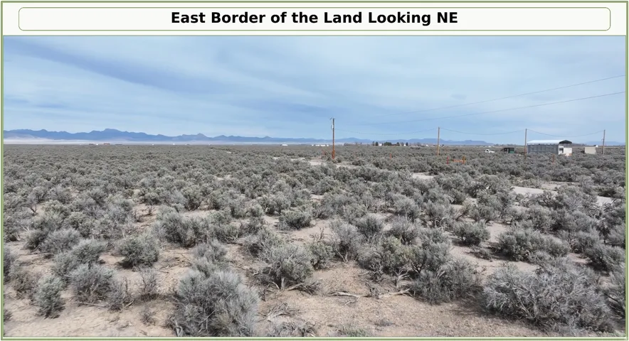 Expansive desert terrain featuring native scrub vegetation, distant mountain range, and clear sky