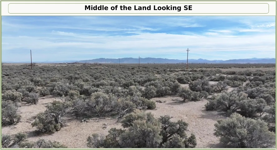 Expansive desert landscape featuring natural vegetation and distant mountain ranges