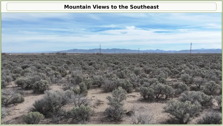 Expansive desert landscape with natural vegetation, utility poles, and distant mountain ranges