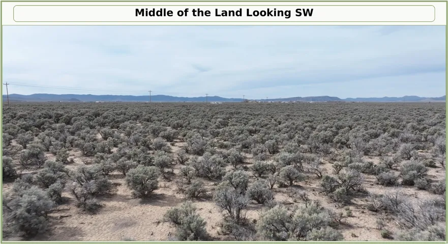 Expansive undeveloped land featuring natural desert vegetation