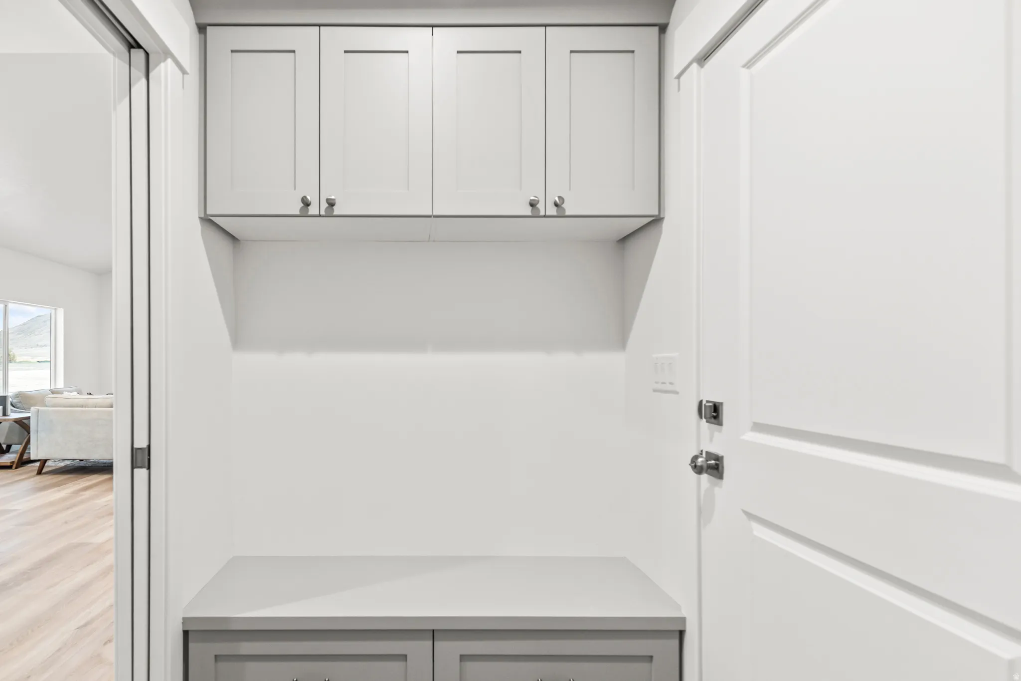 Built-in storage cabinetry with a light gray finish, solid surface countertop, and wood-finish flooring
