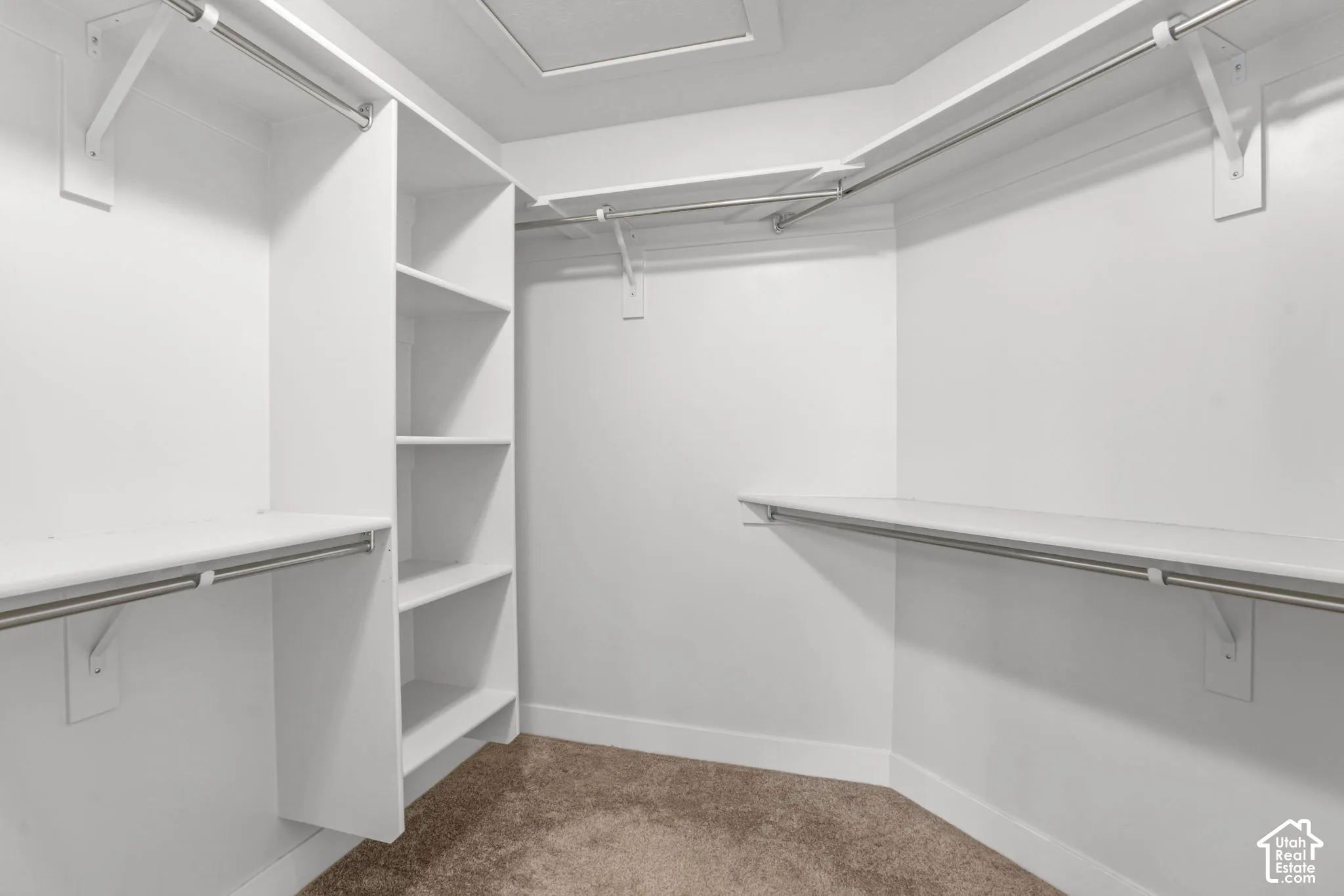 Walk-in closet with built-in shelving, white walls, and carpet flooring