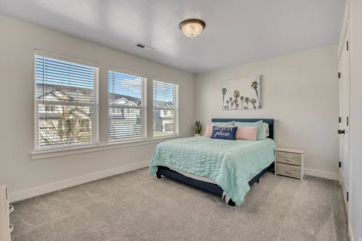 Plush carpet flooring, three large windows with blinds, ceiling-mounted light fixture, and a solid interior door with dark hardware