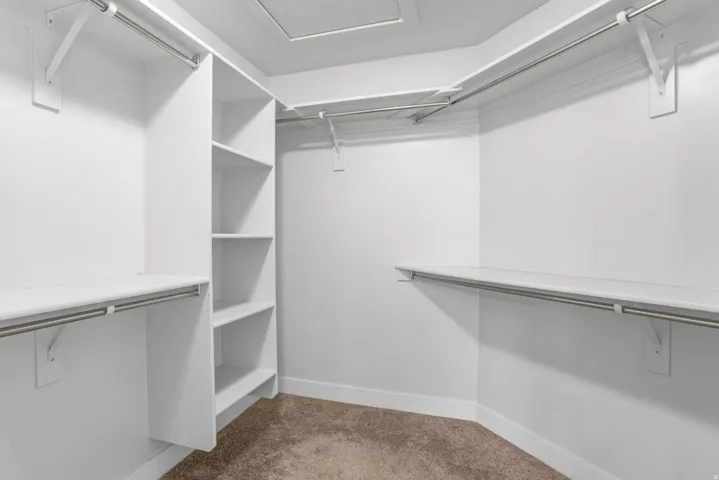 Walk-in closet with built-in shelving, white walls, and carpet flooring