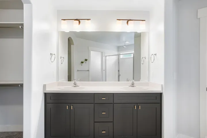 Dual vanity with dark cabinetry, integrated sinks, light-toned countertop, and overhead light fixture
