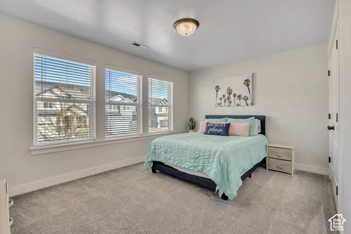 Plush carpet flooring, three large windows with blinds, ceiling-mounted light fixture, and a solid interior door with dark hardware
