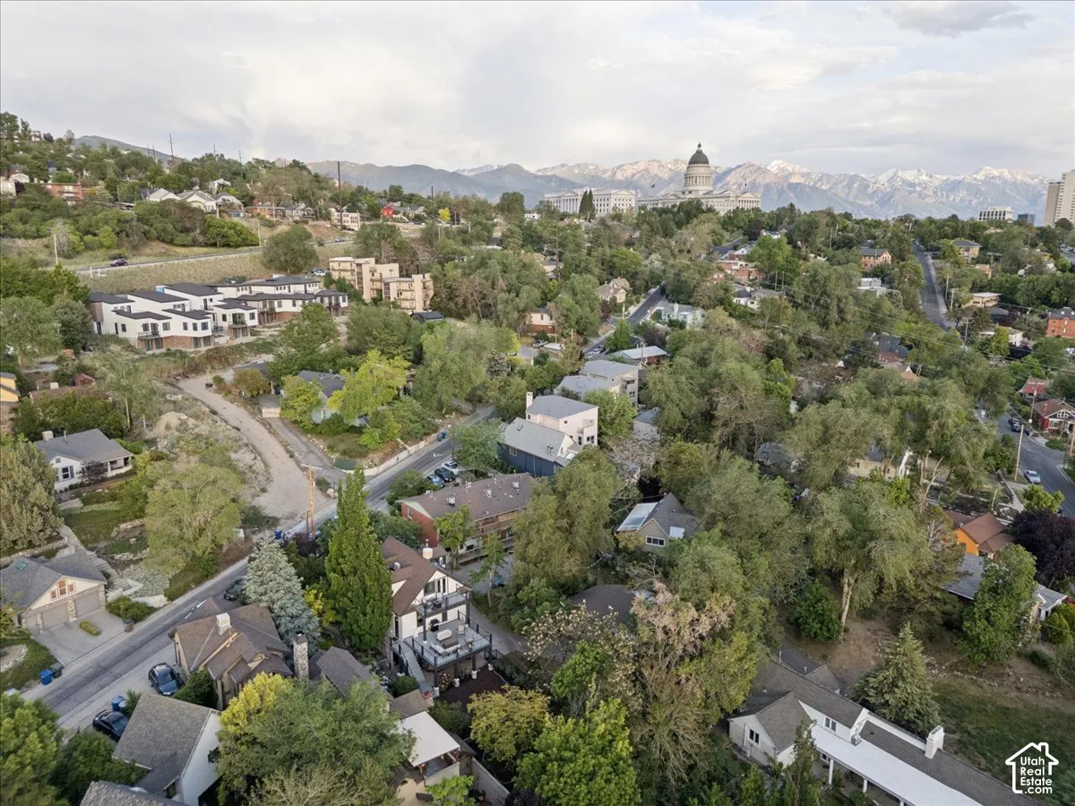 Aerial perspective showcasing a residential are with varied architectural styles, mature trees, and a distant mountain range featuring snow-capped peaks