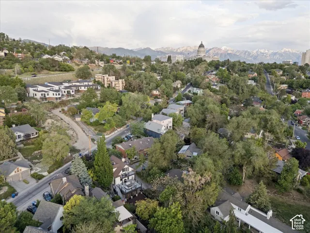Aerial perspective showcasing a residential are with varied architectural styles, mature trees, and a distant mountain range featuring snow-capped peaks